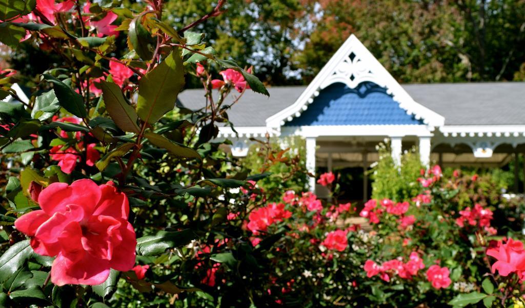 Victoria Inn Хамптън Екстериор снимка